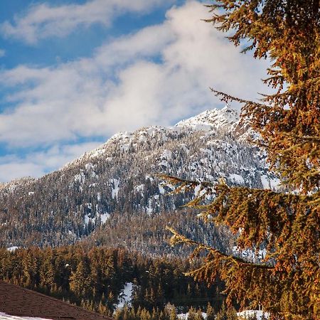 Updated Whistler Creek Studio With Parking Exterior photo